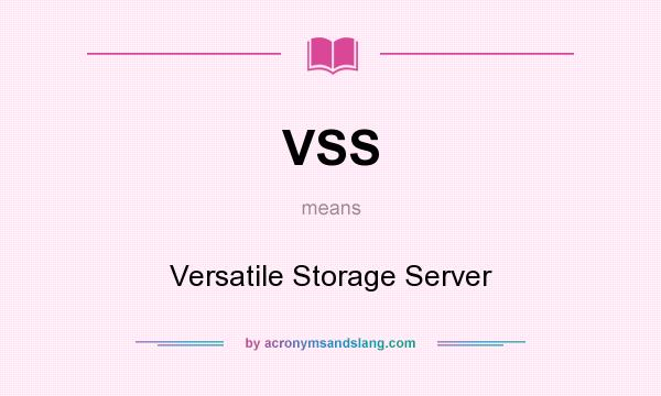 What does VSS mean? It stands for Versatile Storage Server