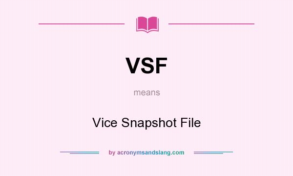 What does VSF mean? It stands for Vice Snapshot File