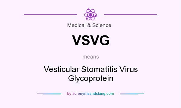 What does VSVG mean? It stands for Vesticular Stomatitis Virus Glycoprotein