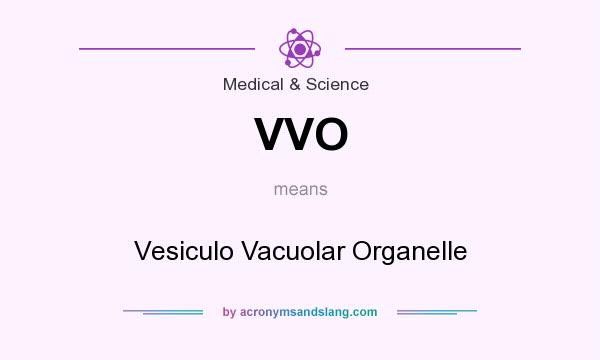 What does VVO mean? It stands for Vesiculo Vacuolar Organelle