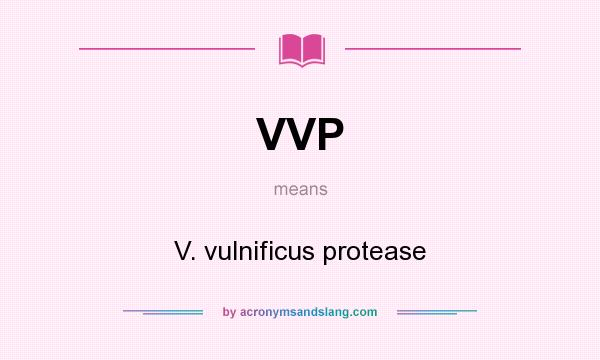 What does VVP mean? It stands for V. vulnificus protease