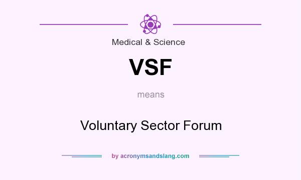 What does VSF mean? It stands for Voluntary Sector Forum