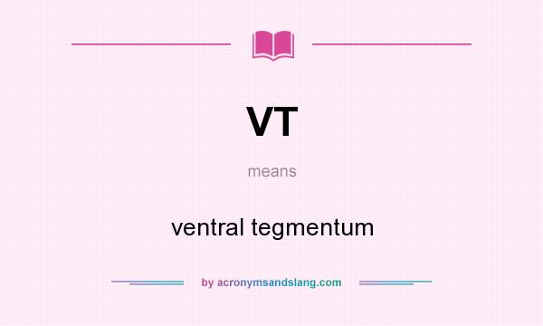 What does VT mean? It stands for ventral tegmentum