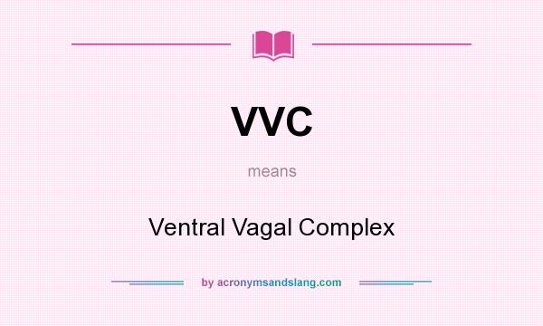 What does VVC mean? It stands for Ventral Vagal Complex