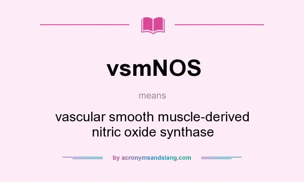 What does vsmNOS mean? It stands for vascular smooth muscle-derived nitric oxide synthase