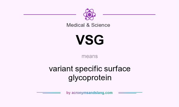 What does VSG mean? It stands for variant specific surface glycoprotein