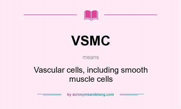 What does VSMC mean? It stands for Vascular cells, including smooth muscle cells