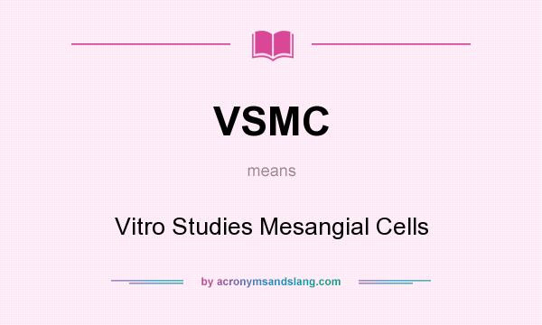 What does VSMC mean? It stands for Vitro Studies Mesangial Cells