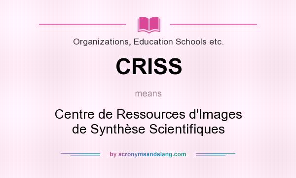 What does CRISS mean? It stands for Centre de Ressources d`Images de Synthèse Scientifiques