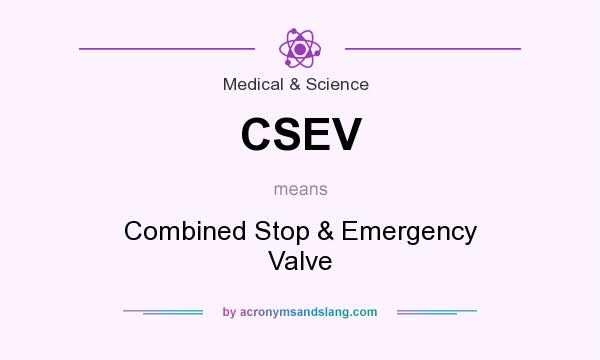 What does CSEV mean? It stands for Combined Stop & Emergency Valve
