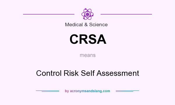 What does CRSA mean? It stands for Control Risk Self Assessment