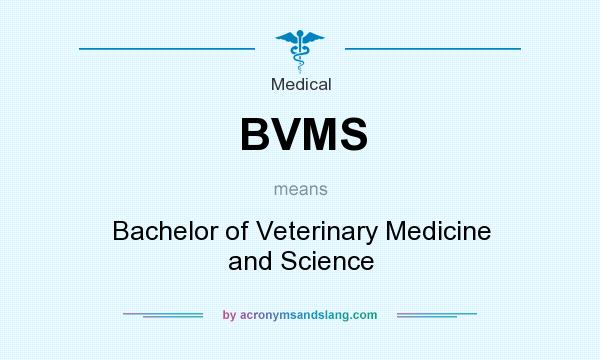 What does BVMS mean? It stands for Bachelor of Veterinary Medicine and Science