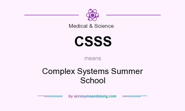 What does CSSS mean? It stands for Complex Systems Summer School