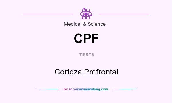 What does CPF mean? It stands for Corteza Prefrontal