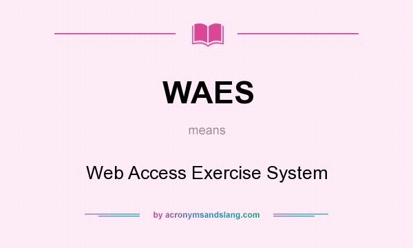 What does WAES mean? It stands for Web Access Exercise System