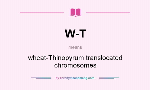 What does W-T mean? It stands for wheat-Thinopyrum translocated chromosomes