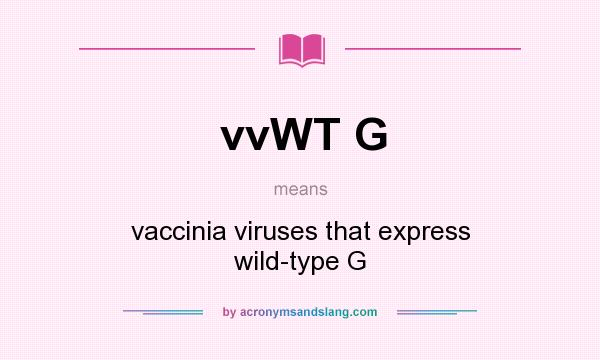 What does vvWT G mean? It stands for vaccinia viruses that express wild-type G