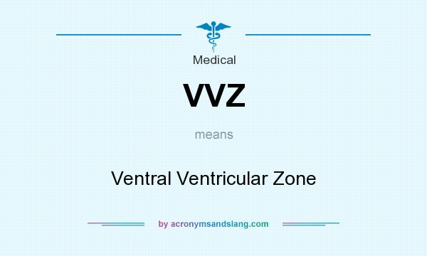 What does VVZ mean? It stands for Ventral Ventricular Zone
