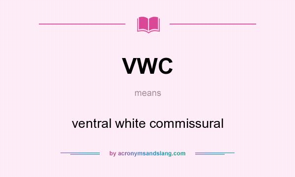 What does VWC mean? It stands for ventral white commissural