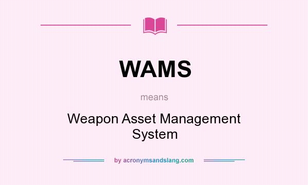 What does WAMS mean? It stands for Weapon Asset Management System