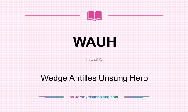 What does WAUH mean? It stands for Wedge Antilles Unsung Hero