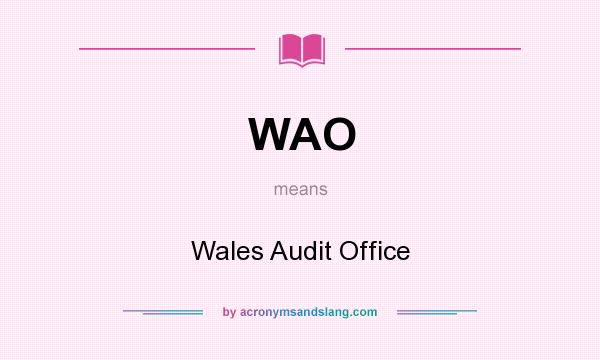 What does WAO mean? It stands for Wales Audit Office