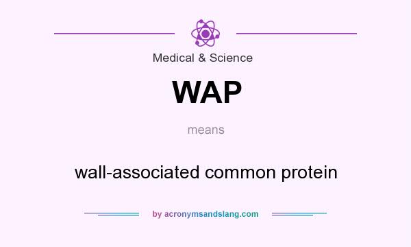 What does WAP mean? It stands for wall-associated common protein