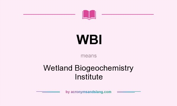 What does WBI mean? It stands for Wetland Biogeochemistry Institute