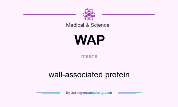 What does WAP mean? It stands for wall-associated protein