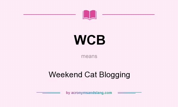 What does WCB mean? It stands for Weekend Cat Blogging