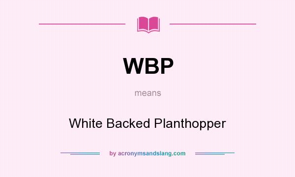 What does WBP mean? It stands for White Backed Planthopper