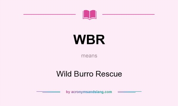 What does WBR mean? It stands for Wild Burro Rescue