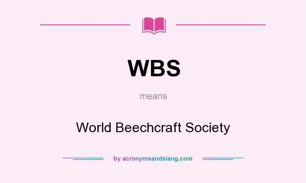 What does WBS mean? It stands for World Beechcraft Society