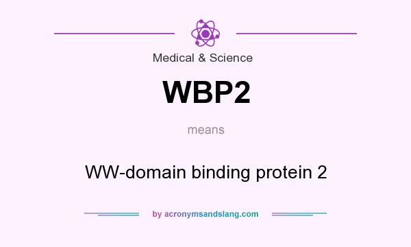 What does WBP2 mean? It stands for WW-domain binding protein 2
