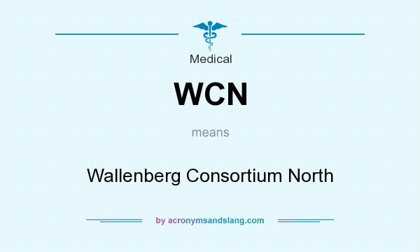 What does WCN mean? It stands for Wallenberg Consortium North