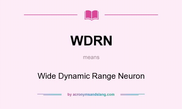 What does WDRN mean? It stands for Wide Dynamic Range Neuron