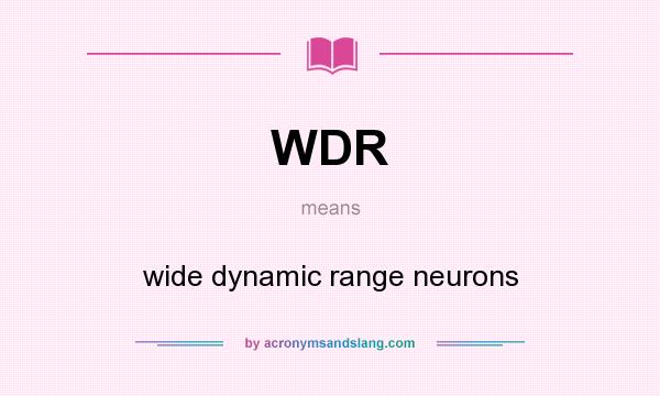 What does WDR mean? It stands for wide dynamic range neurons