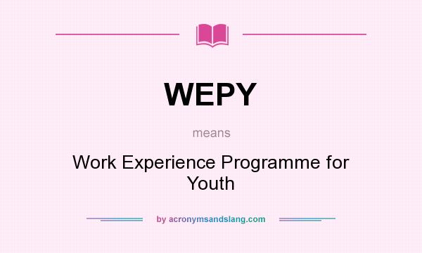 What does WEPY mean? It stands for Work Experience Programme for Youth