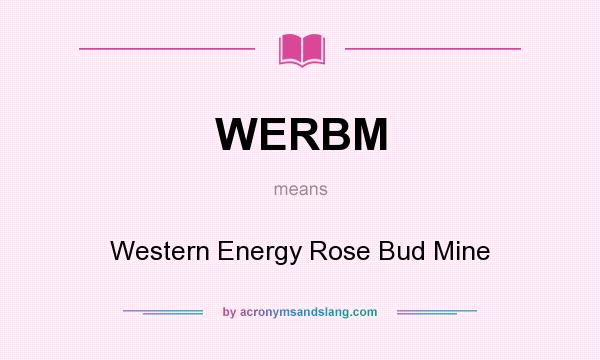 What does WERBM mean? It stands for Western Energy Rose Bud Mine