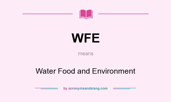 What does WFE mean? It stands for Water Food and Environment