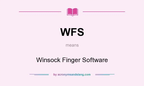 What does WFS mean? It stands for Winsock Finger Software