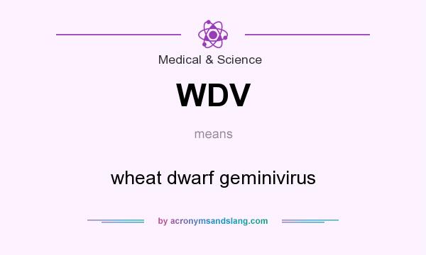 What does WDV mean? It stands for wheat dwarf geminivirus