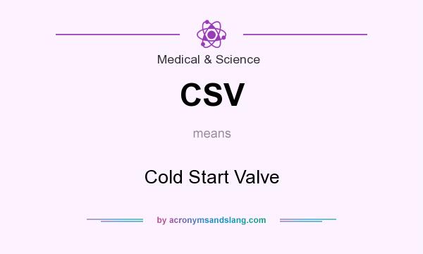 What does CSV mean? It stands for Cold Start Valve