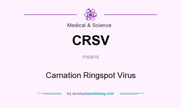 What does CRSV mean? It stands for Carnation Ringspot Virus