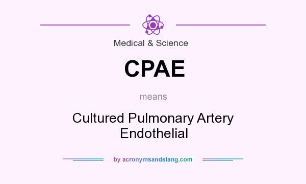 What does CPAE mean? It stands for Cultured Pulmonary Artery Endothelial