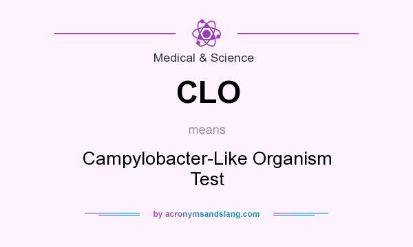 What does CLO mean? It stands for Campylobacter-Like Organism Test