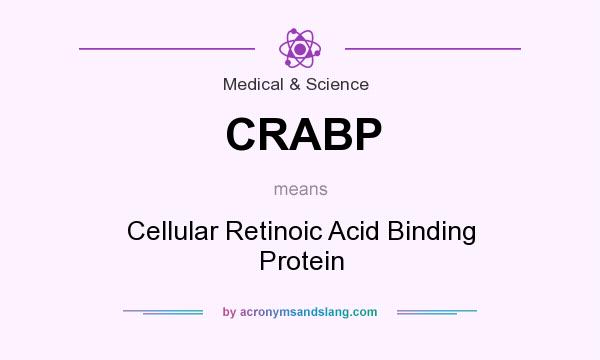 What does CRABP mean? It stands for Cellular Retinoic Acid Binding Protein