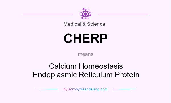 What does CHERP mean? It stands for Calcium Homeostasis Endoplasmic Reticulum Protein