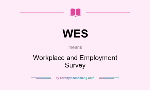 What does WES mean? It stands for Workplace and Employment Survey