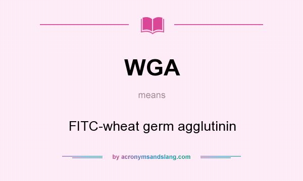 What does WGA mean? It stands for FITC-wheat germ agglutinin